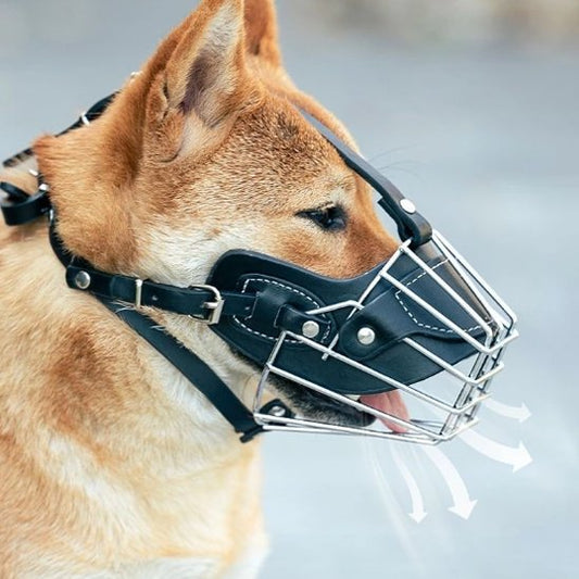 Muselière pour chien | Confort Sécurité
