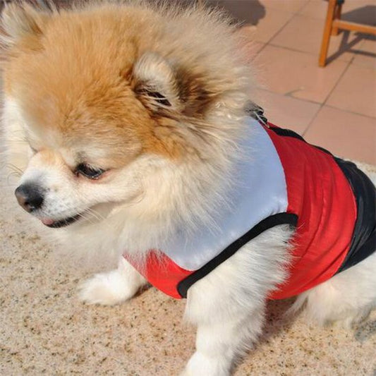 Manteau chien | Imperméable Premium