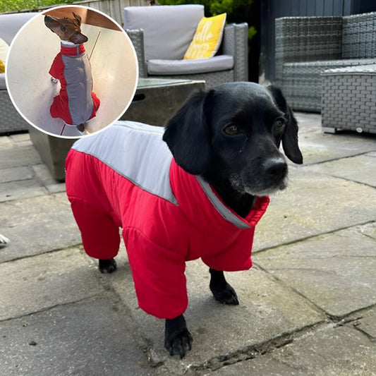 Manteau chien | Imperméable 4 pattes