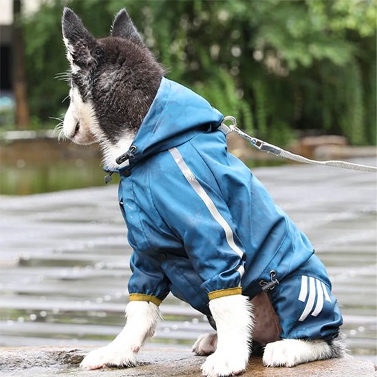 Manteau pour chien | Imperméable Confort