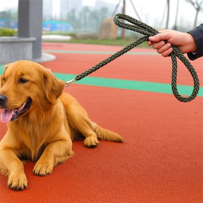 Laisse pour Chien | Robuste & Confortable