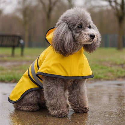 Manteau pour chien imperméable | PluiProtect