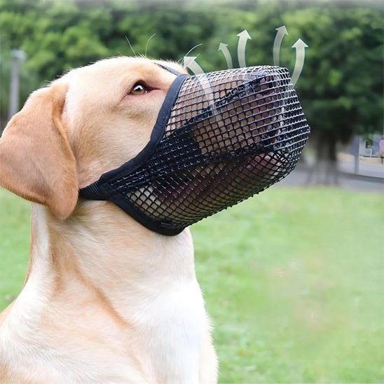 Muselière chien | Confort Ajustable