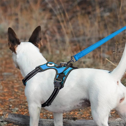 Laisse pour chien | UltraComfort