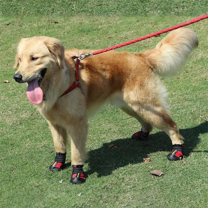 Chaussures Chien | Imperméables Toutes Saisons