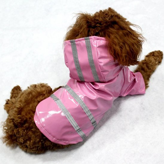 Manteau pour Chien | Imperméable Réfléchissant