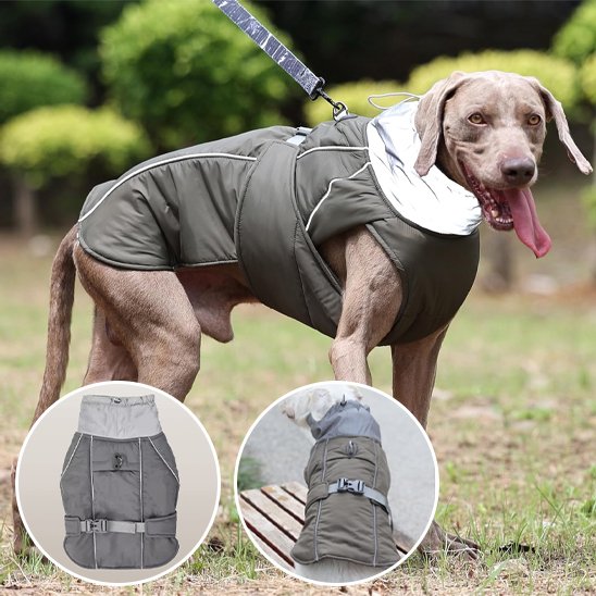 Manteau pour chien | Imperméable Élégant