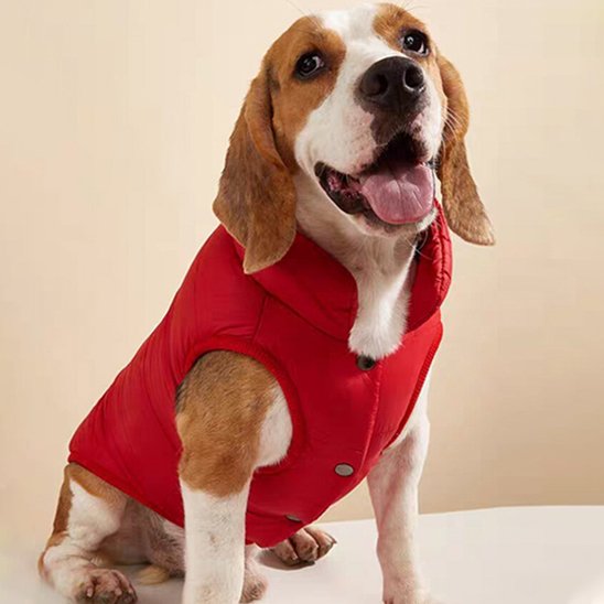 Manteau pour chien | Imperméable Élégant