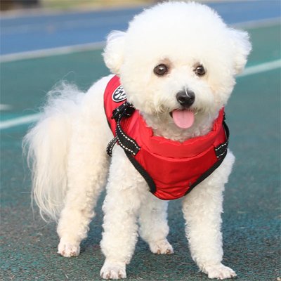Manteau Chien | Premium Thermique Imperméable