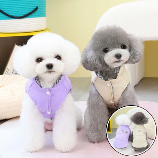 Manteau chien | Protectiwarm