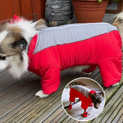 Manteau chien | Imperméable 4 pattes