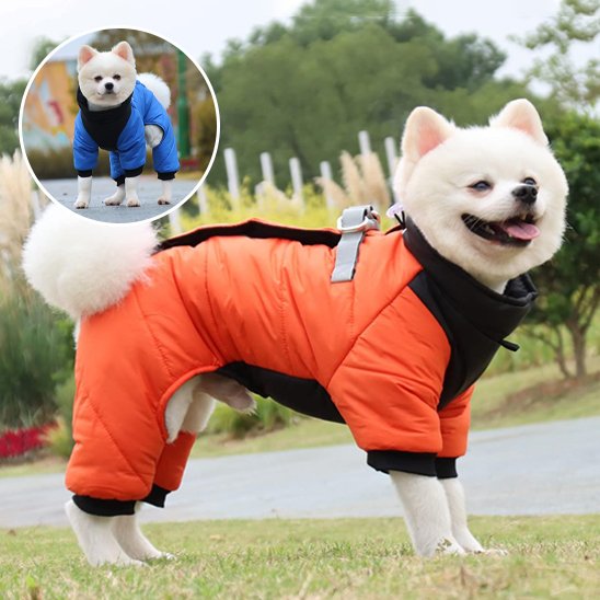 Manteau chien 4 pattes | Imperméable & Isolant