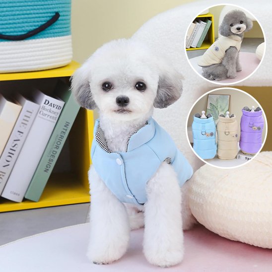 Manteau chien | Protectiwarm