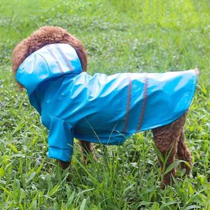 Manteau pour Chien | Imperméable Réfléchissant