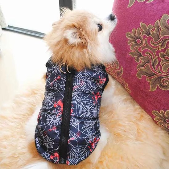 Manteau chien | Imperméable Premium