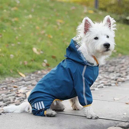 Manteau pour chien | Imperméable Confort