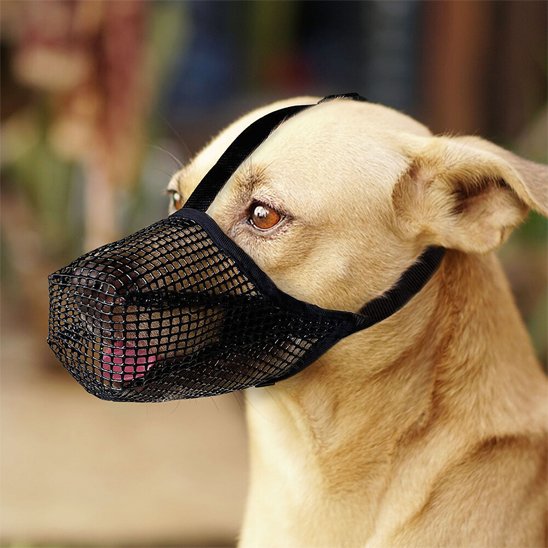 Muselière chien | Confort Ajustable