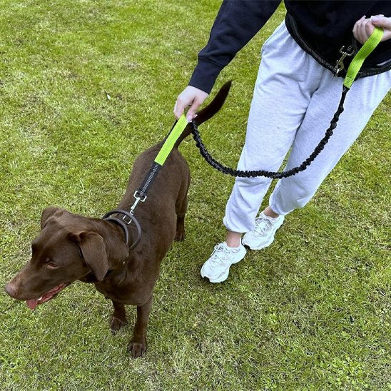 Laisse canicross | Ergonomique