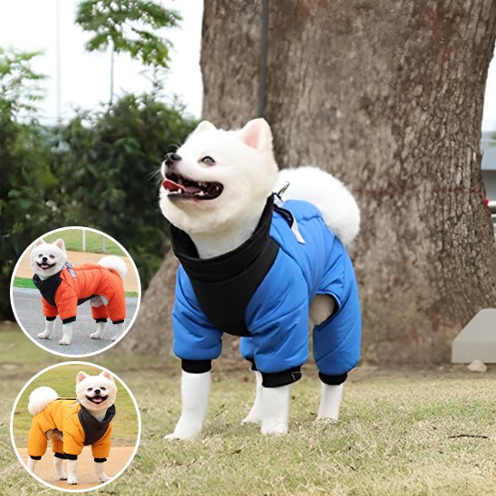 Manteau chien 4 pattes | Imperméable & Isolant