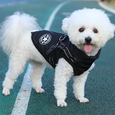 Manteau Chien | Premium Thermique Imperméable