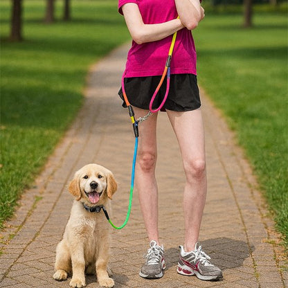 Laisse chien main libre | Premium