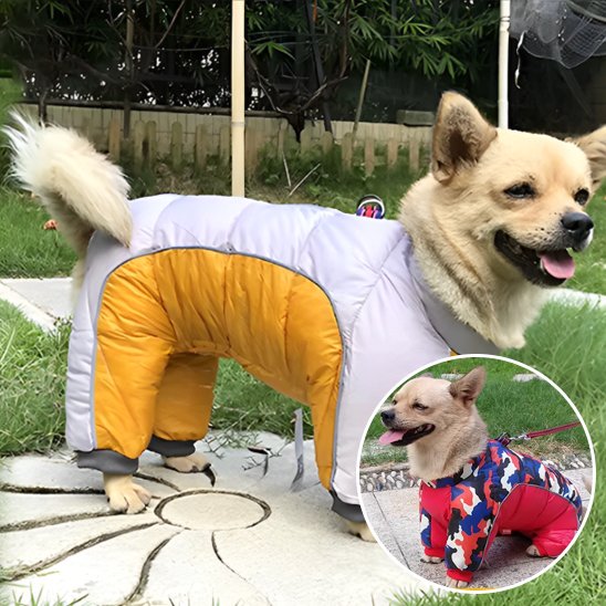 Manteau pour chien | 4Pattes Intégral