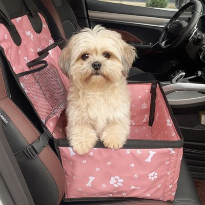 Siege auto chien | Securicomfort