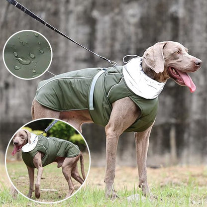 Manteau pour chien | Imperméable Élégant