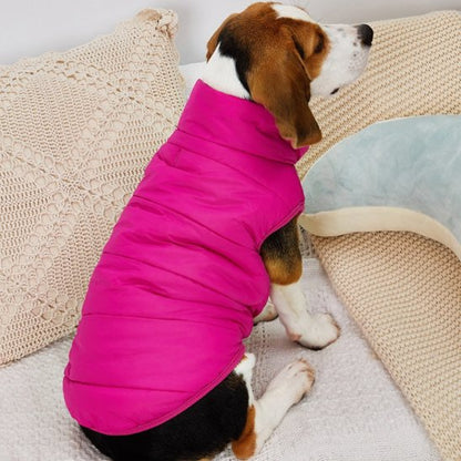 Manteau pour chien | Imperméable Élégant