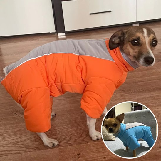 Manteau chien | Imperméable 4 pattes