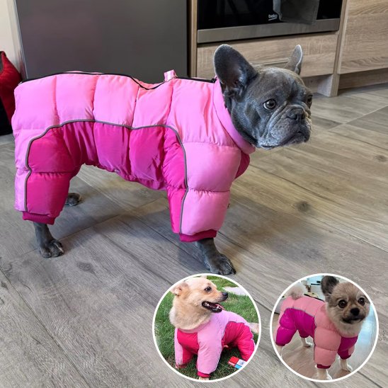 Manteau pour chien | 4Pattes Intégral