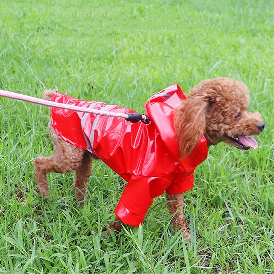 Manteau pour Chien | Imperméable Réfléchissant