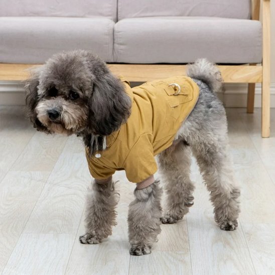 Manteau pour chien | Style Militaire