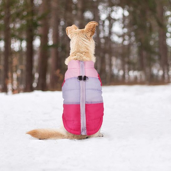 Manteau chien | Imperméable Premium