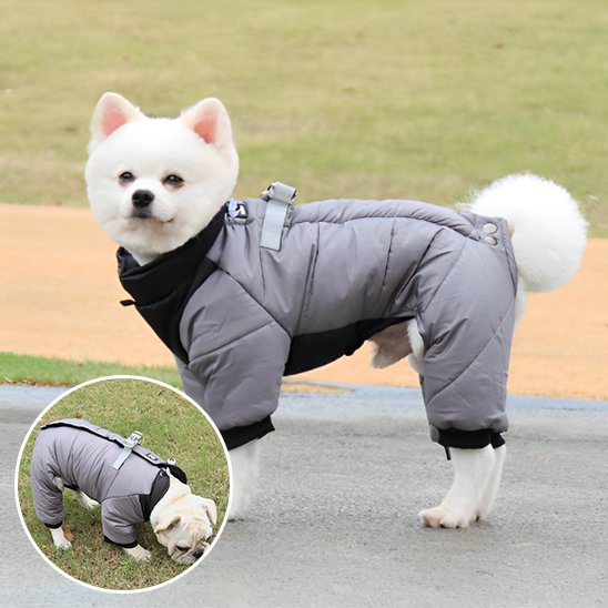 Manteau chien 4 pattes | Imperméable & Isolant