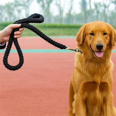 Laisse pour Chien | Robuste & Confortable