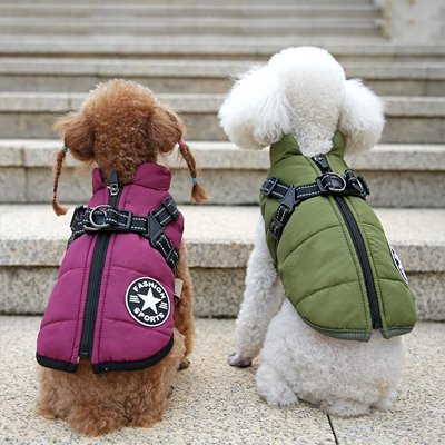 Manteau Chien | Premium Thermique Imperméable