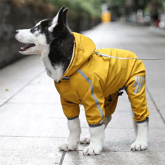 Manteau pour chien | Imperméable Confort