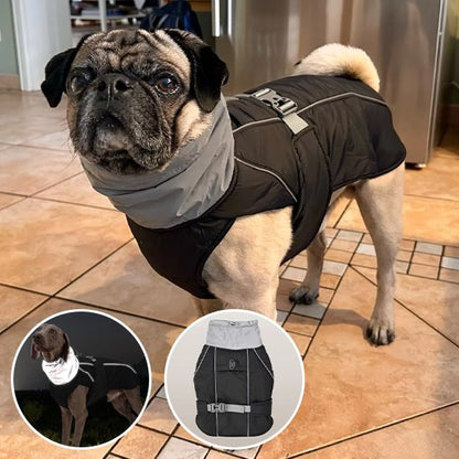 Manteau pour chien | Imperméable Élégant