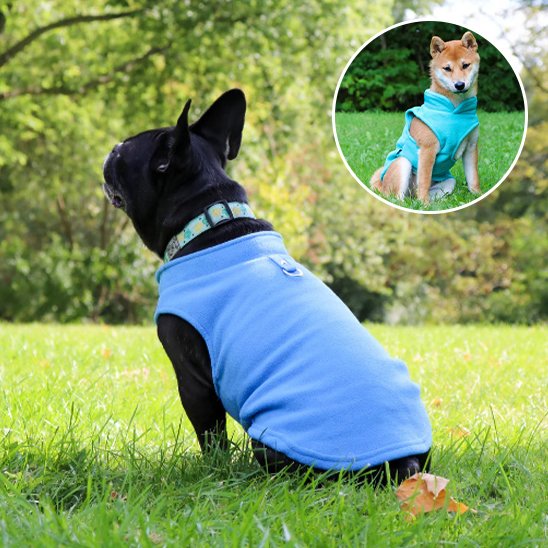 Manteau chien | Polaire Douillet