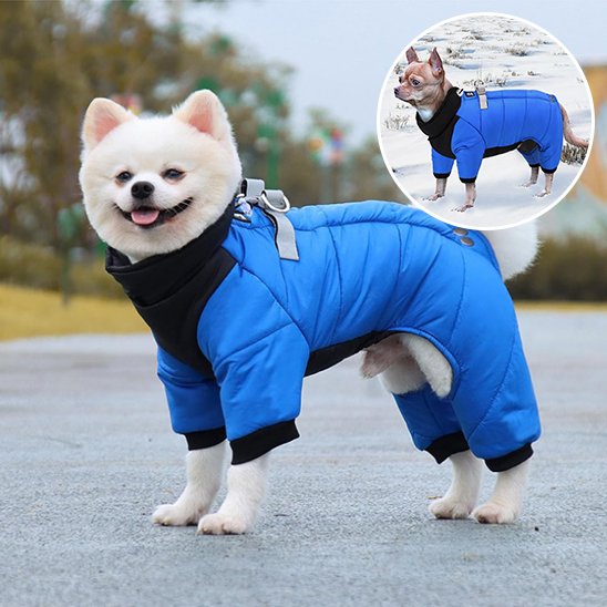 Manteau chien 4 pattes | Imperméable & Isolant