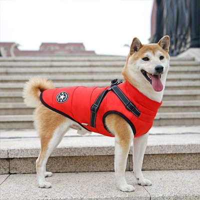 Manteau Chien | Premium Thermique Imperméable