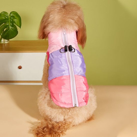 Manteau chien | Imperméable Premium