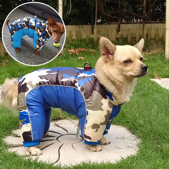 Manteau pour chien | 4Pattes Intégral