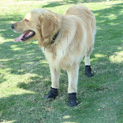 Chaussures Chien | Imperméables Toutes Saisons