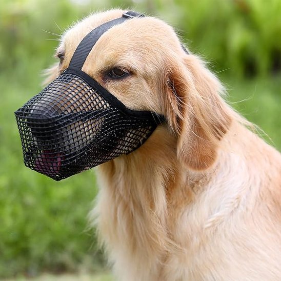 Muselière chien | Confort Ajustable