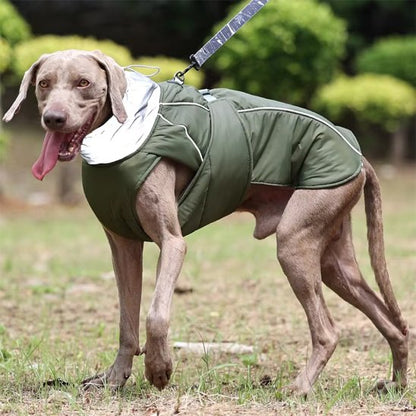 Manteau pour chien | Imperméable Élégant