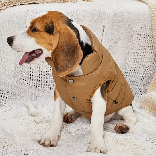 Manteau pour chien | Imperméable Élégant