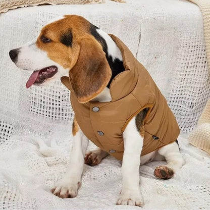 Manteau pour chien | Imperméable Élégant