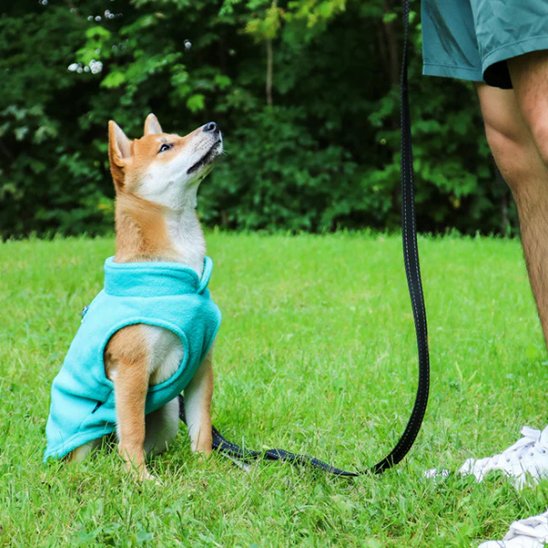 Manteau chien | Polaire Douillet